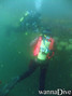 scuba diving photo