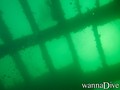 scuba diving photo