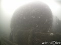 scuba diving photo