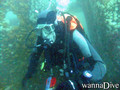 scuba diving photo