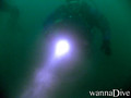 scuba diving photo