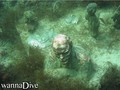 scuba diving photo
