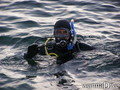 scuba diving photo