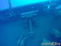 scuba diving photo