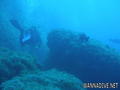 scuba diving photo