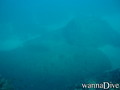 scuba diving photo