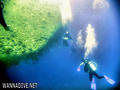 scuba diving photo