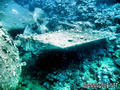 scuba diving photo