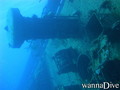 scuba diving photo