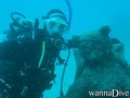 scuba diving photo
