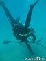 scuba diving photo