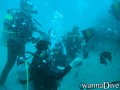 scuba diving photo