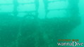 scuba diving photo