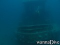 scuba diving photo