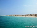 scuba diving photo