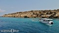 scuba diving photo