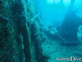 scuba diving photo
