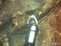 scuba diving photo