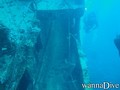 scuba diving photo