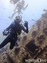 scuba diving photo