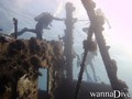 scuba diving photo