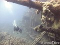 scuba diving photo