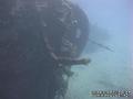 scuba diving photo