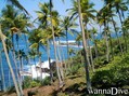 scuba diving photo