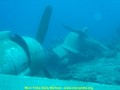 scuba diving photo