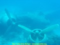scuba diving photo