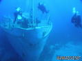 scuba diving photo