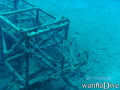 scuba diving photo