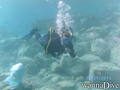 scuba diving photo