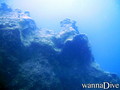 scuba diving photo