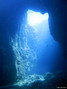 scuba diving photo