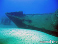scuba diving photo