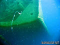 scuba diving photo