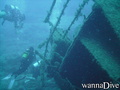 scuba diving photo