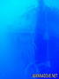 scuba diving photo