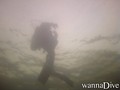 scuba diving photo