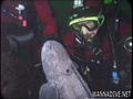 scuba diving photo