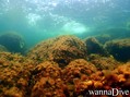scuba diving photo