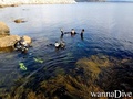 scuba diving photo