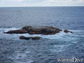 scuba diving photo