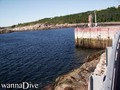 scuba diving photo