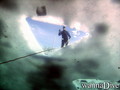 scuba diving photo