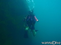 scuba diving photo