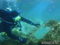 scuba diving photo