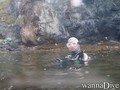 scuba diving photo