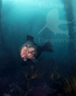 scuba diving photo